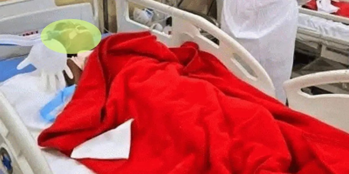 মাগুরায় শিশু ধর্ষণ-হত্যার বিচার শুরু, চার আসামীর বিরুদ্ধে চার্জগঠন